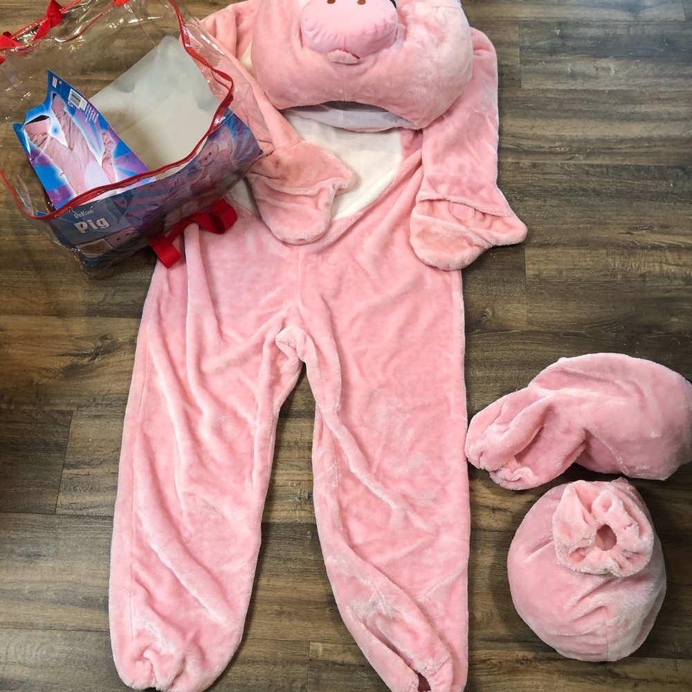 Pig Mascot Costume